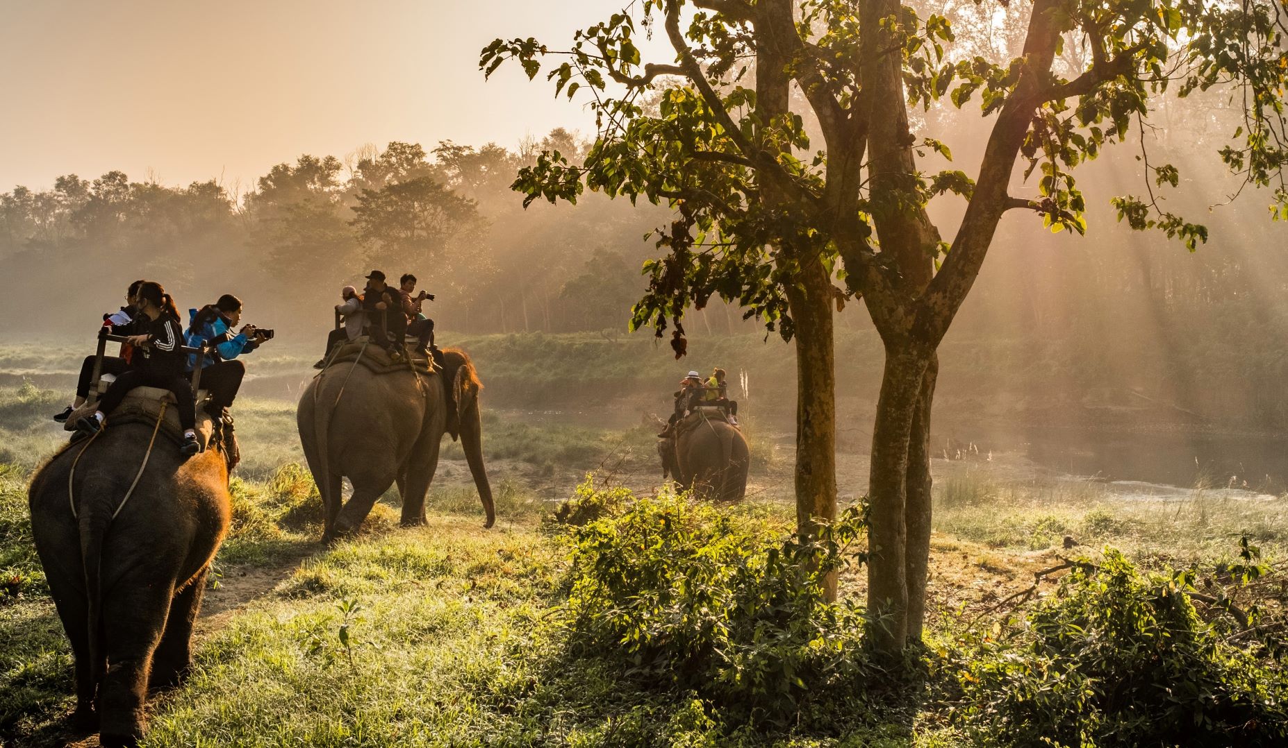 Chitwan National Park